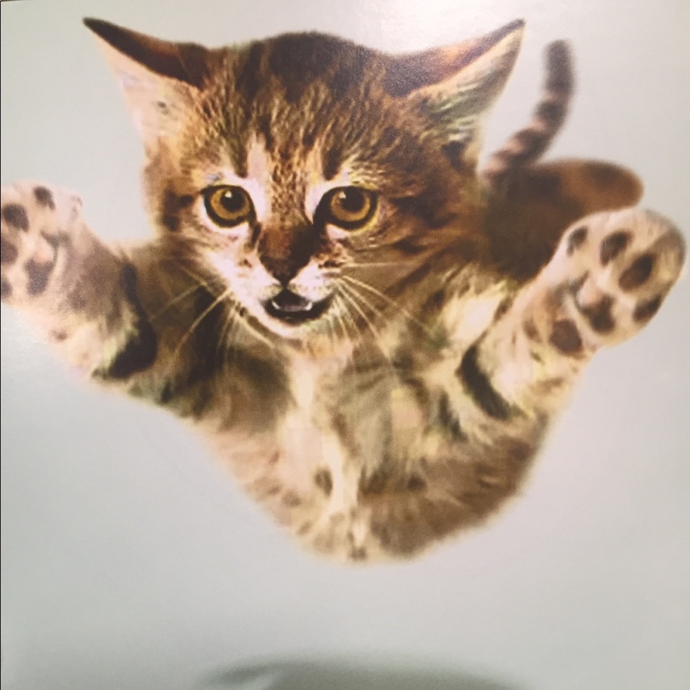 Meet your Posher, Coco